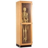 Diversified WoodcraftsSkeleton Storage Cabinet
