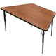 MoorecoTrapezoid Activity Table