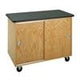 Diversified WoodcraftsMobile Storage Cabinet