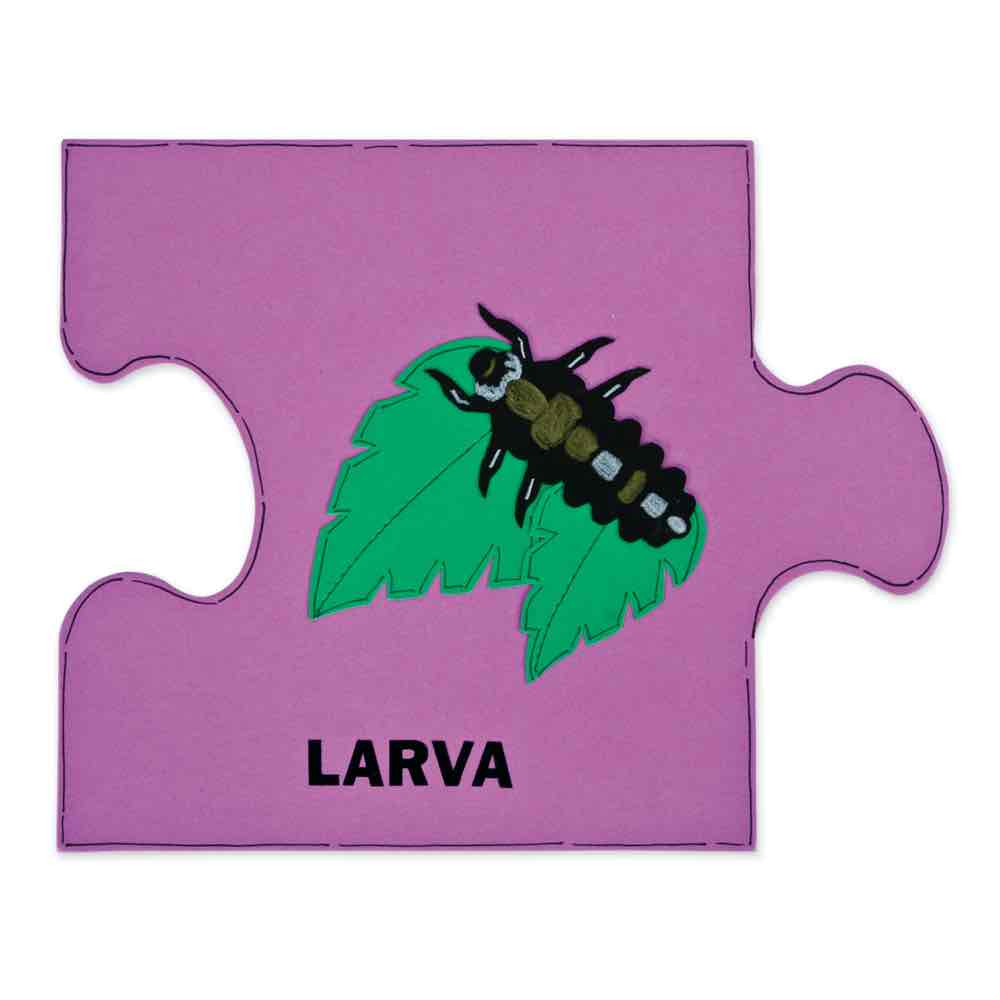 AccuCut Ladybug Life Cycle Set Professional Science Classroom Die Set of 4 Pieces 5"W x 1"H (ACC - DS208) - SchoolOutlet