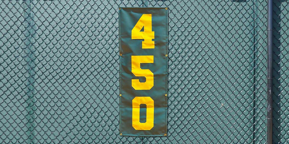 Fisher Vertical Distance Marker Mesh Mounts 15 in Number (FIS - DM1MV) - SchoolOutlet