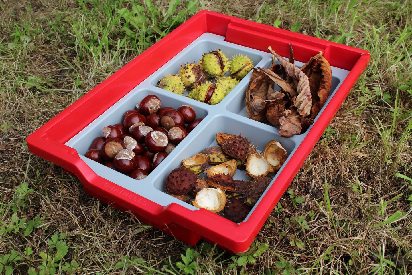 Gratnells Moulded Insert 4 Section for F1 in Dove Gray (Pack of 6) (GRA - IM04F0119P6) - SchoolOutlet