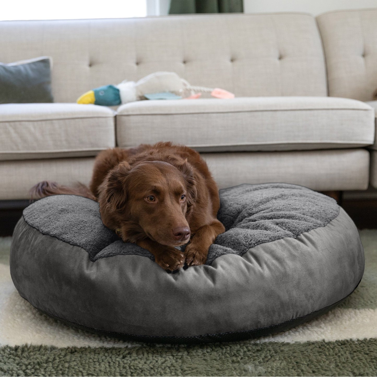 Jaxx Robbi Round Pet Bed, Medium (JAX - 19728) - SchoolOutlet