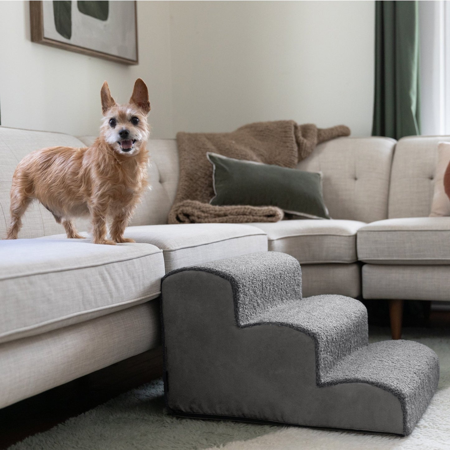 Jaxx Dubb Pet Steps - 3 Stairs (19734) - SchoolOutlet