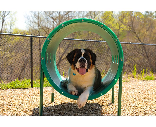 UltraPlay Dog Park Supplies Doggie Crawl - SchoolOutlet