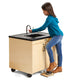 Sanitizers & Portable Sinks