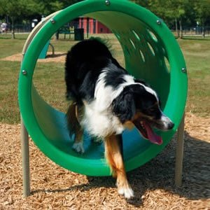 UltraPlay Dog Park Supplies Doggie Crawl (Playcore PLA-PBARK-491) - SchoolOutlet