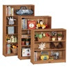Jonti-CraftSproutz Bookcase