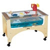 Jonti-CraftPreschool Science Tables