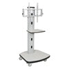 MoorecoMobile Flat Panel Stand
