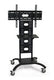 Flat panel TV Stands