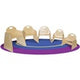 Woodies Tot Chairs
