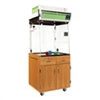Diversified WoodcraftsFume Hood
