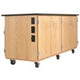 Diversified WoodcraftsInteractive Mobile Media Cabinet