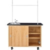 Mobile Lab Tables