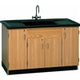 Diversified WoodcraftsLab Sink Cabinet Workstation