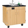 Clean Up Sinks and Classroom Sinks
