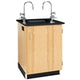 Diversified WoodcraftsScience Lab Service Island