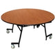 National Public Seating EasyFold Table