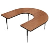 MoorecoHorseshoe Activity Table