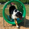 Dog Park Equipment