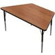 MoorecoTrapezoid Activity Table