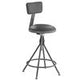 National Public SeatingPadded Swivel Stools
