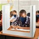 School Desk Sneeze Guards