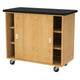 Science & STEM Carts