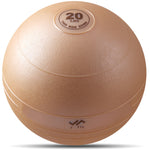 Champion Sports JFIT Metallic Slam Ball High-Intensity Training 20 lb (CMP-J-SB20XXX)