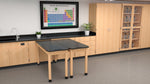Diversified Woodcrafts PerpetuLab Wheelbarrow Science Table 54