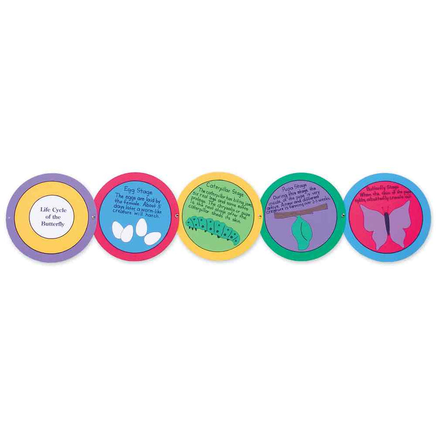 AccuCut Butterfly Life Cycle Professional Die Set of 5 Pieces (ACC - DS026L) - SchoolOutlet