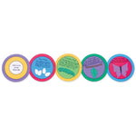 AccuCut Butterfly Life Cycle Professional Die Set of 5 Pieces (ACC - DS026L) - SchoolOutlet