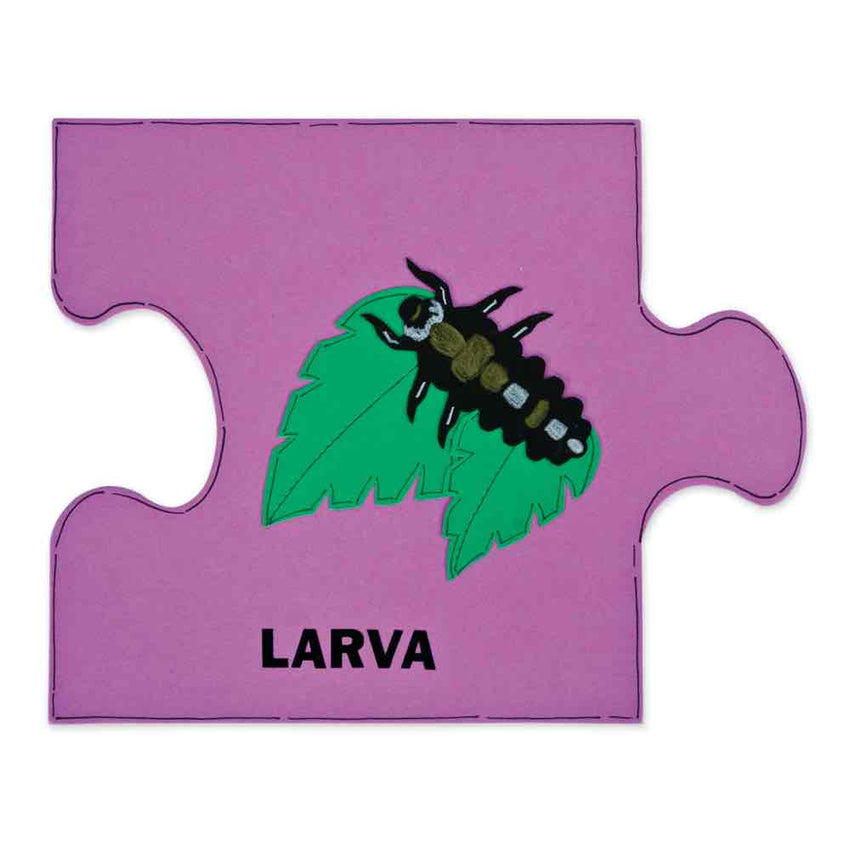 AccuCut Ladybug Life Cycle Set Professional Science Classroom Die Set of 4 Pieces 5"W x 1"H (ACC - DS208) - SchoolOutlet