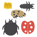 AccuCut Ladybug Life Cycle Set Professional Science Classroom Die Set of 4 Pieces 5