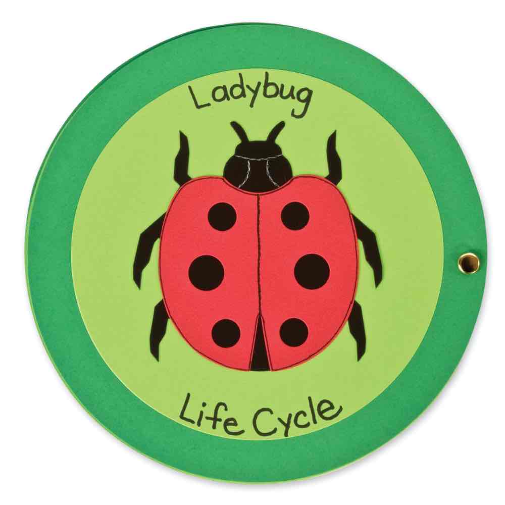 AccuCut Ladybug Life Cycle Set Professional Science Classroom Die Set of 4 Pieces 5"W x 1"H (ACC - DS208) - SchoolOutlet