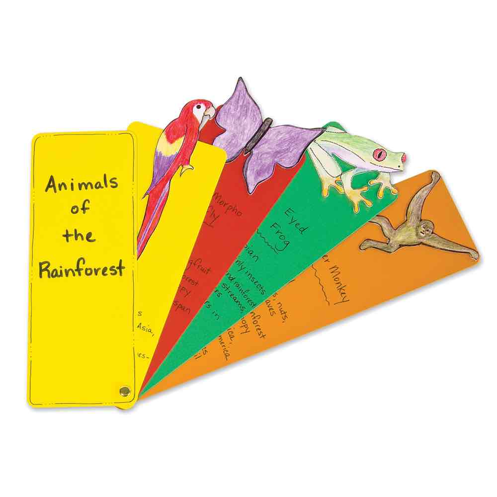 AccuCut Rainforest Ecosystem Professional Science Classroom Die Set of 7 Pieces (ACC - DS226) - SchoolOutlet
