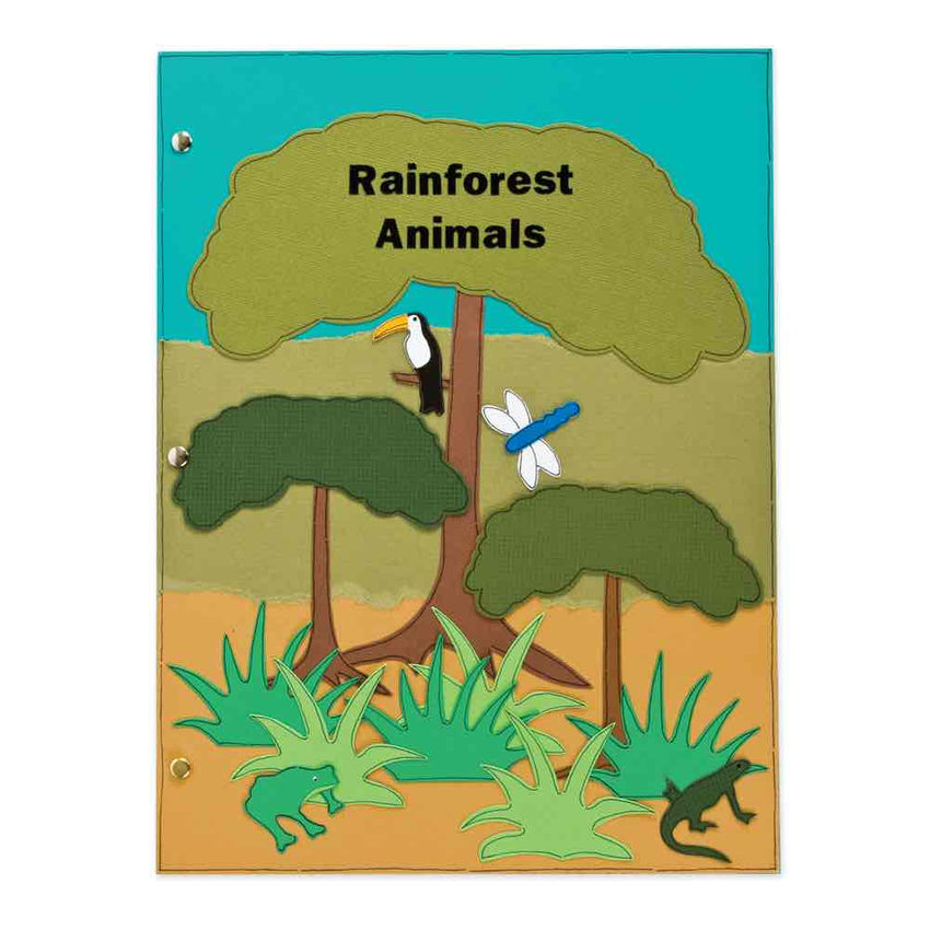 AccuCut Rainforest Ecosystem Professional Science Classroom Die Set of 7 Pieces (ACC - DS226) - SchoolOutlet