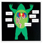 AccuCut Frog Diagram Jumbo Professional Anatomy and Biology Classroom Die Set (ACC - F1754J) - SchoolOutlet