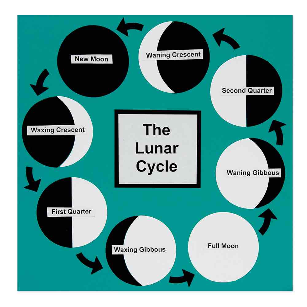 AccuCut Moon Phases Professional Astronomy and Space Science Classroom Die (ACC - M1305LC) - SchoolOutlet