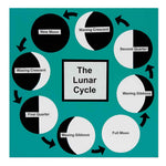 AccuCut Moon Phases Professional Astronomy and Space Science Classroom Die (ACC - M1305LC) - SchoolOutlet