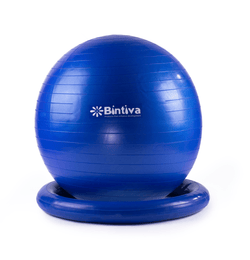 Bintiva Swiss Stability Ball With Standing Base