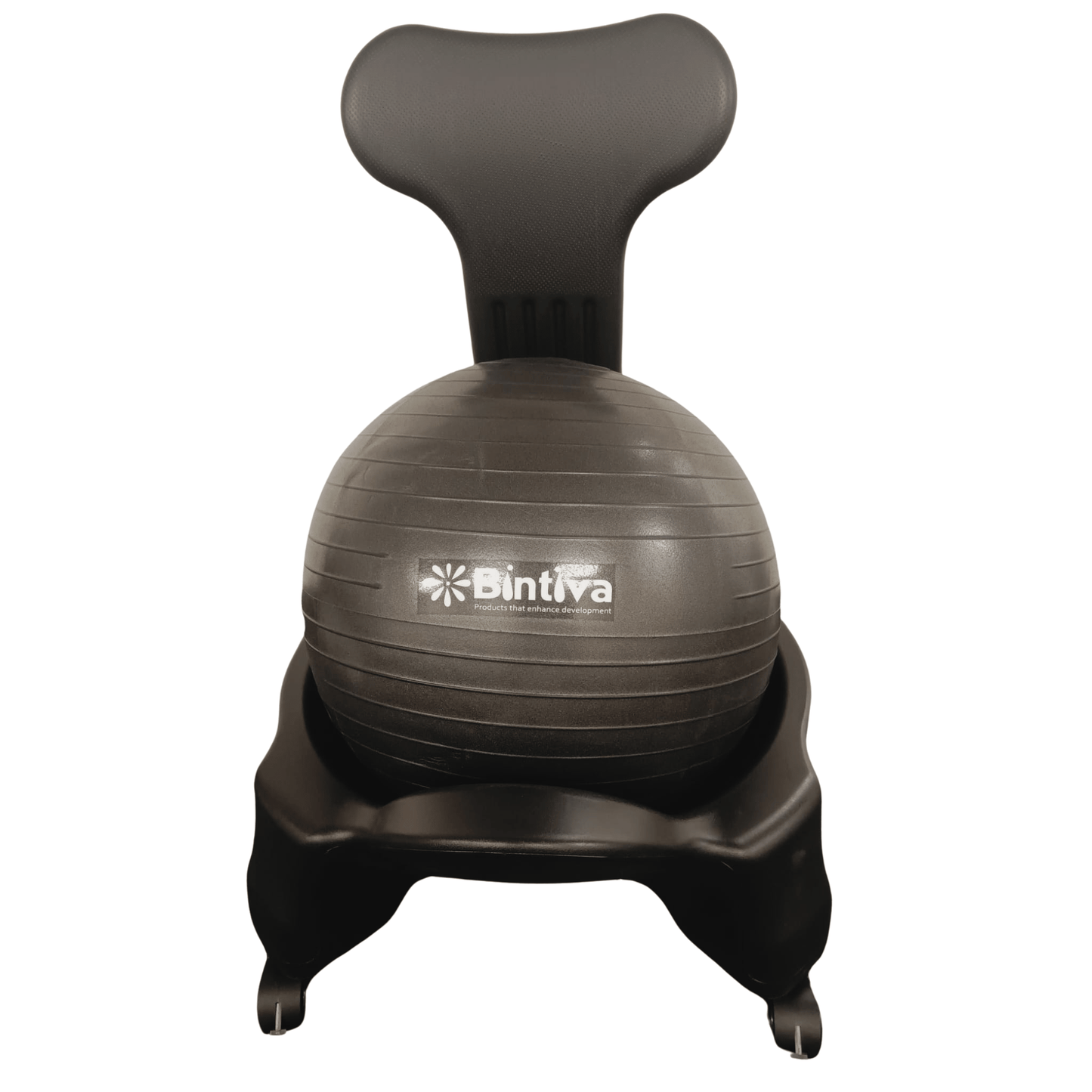 Bintiva stability ball outlet
