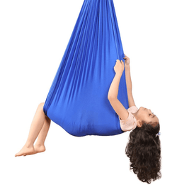 Bintiva Sensory Hanging Swing - Blue