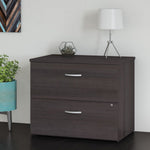 Bush Furniture 2 Drawer Lateral File Cabinet - Modern Office Storage Solution (SCF136X) - SchoolOutlet