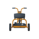 Angeles MyRider® Trike 12