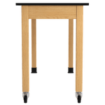 Diversified Woodcrafts PerpetuLab Wheelbarrow Science Table 54