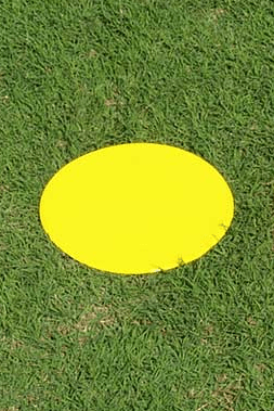 Fisher Disk Marker 12" Diameter Gold Molded Rubber Field Marker (FIS - DISC12GO) - SchoolOutlet