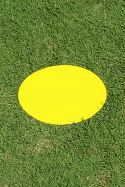 Fisher Disk Marker 12" Diameter Gold Molded Rubber Field Marker (FIS-DISC12GO)