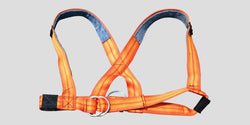 Fisher Push Pull Sled Harness with Metal Clip Training Accessory (FIS-HAR01)